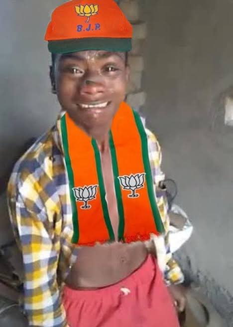 ठाकरे बंधू एकत्र आल्यापासून भक्त जमात...