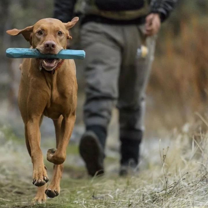 This drift wood inspired toy is a favourite token among beach-combing dogs. This natural rubber toy is durable and chew-resistant, with a faceted, gum-massaging surface.

rb.gy/rkmcmh