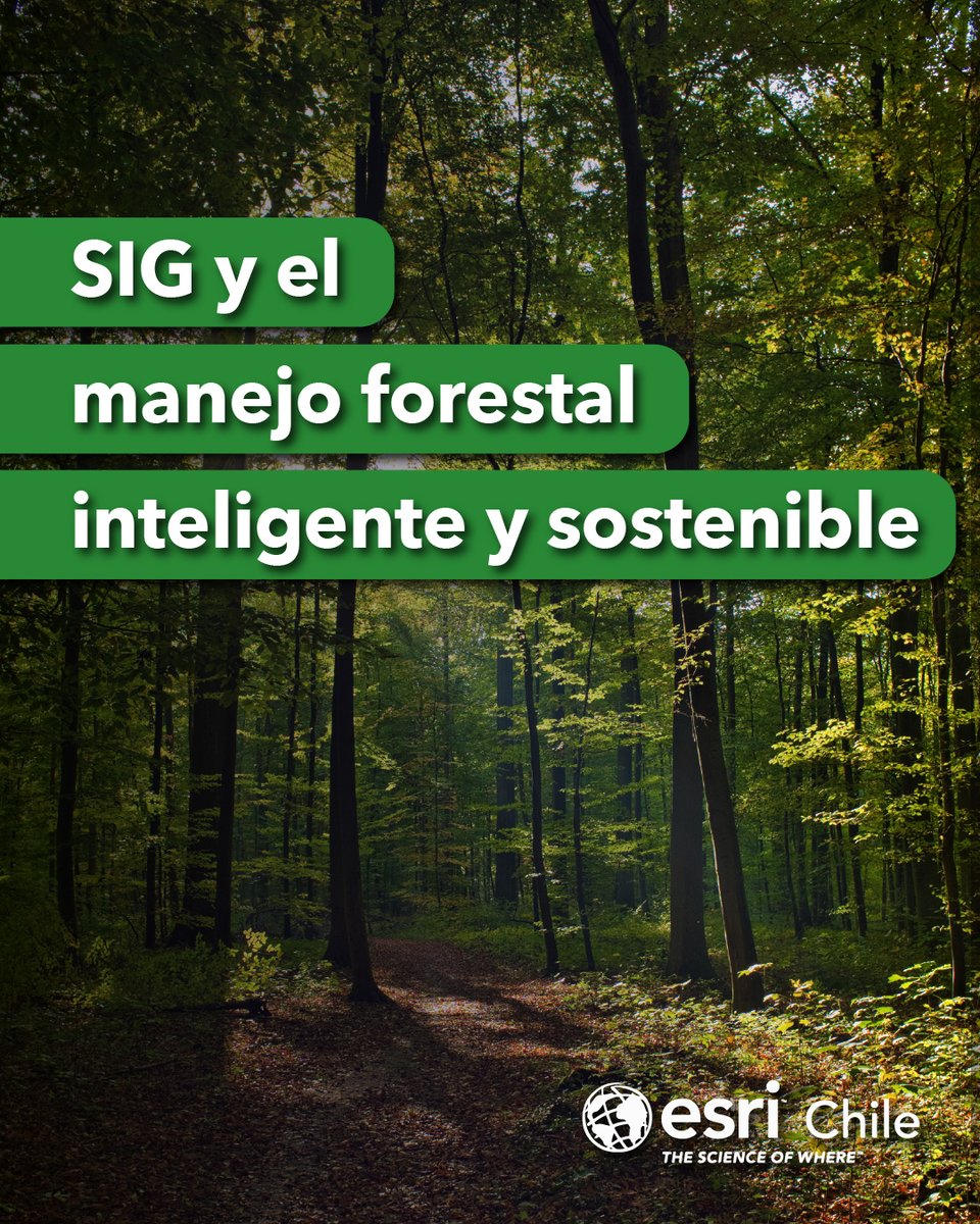 ESRIChile's tweet image. Hoy, 6 de julio, celebramos el #DíaDelÁrbol 🌳 destacando cómo los Sistemas de Información Geográfica (#SIG) son una poderosa herramienta que puede ayudar a la protección de los #bosques y la gestión forestal sostenible 🍃