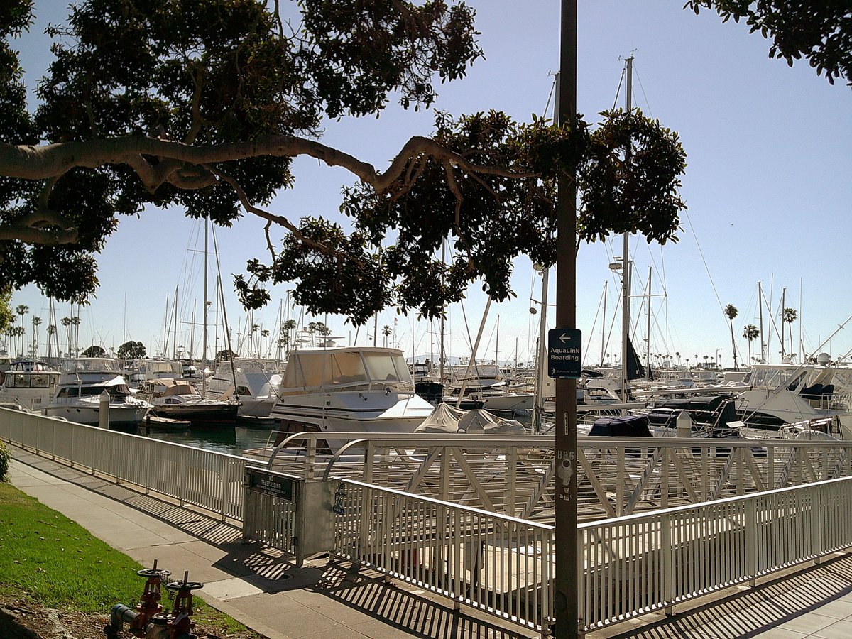 RyanThomasOk's tweet image. Imagine not:

Being hot
Living in California
Living on the beach.

No wonder sad uggos from Middle America with no PFP try to talk shit. It&apos;s pure jeslousy