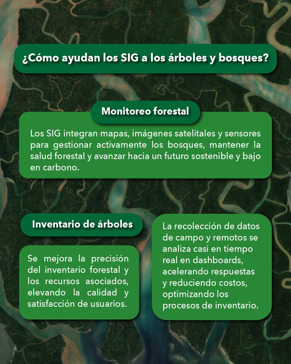 ESRIChile's tweet image. Hoy, 6 de julio, celebramos el #DíaDelÁrbol 🌳 destacando cómo los Sistemas de Información Geográfica (#SIG) son una poderosa herramienta que puede ayudar a la protección de los #bosques y la gestión forestal sostenible 🍃