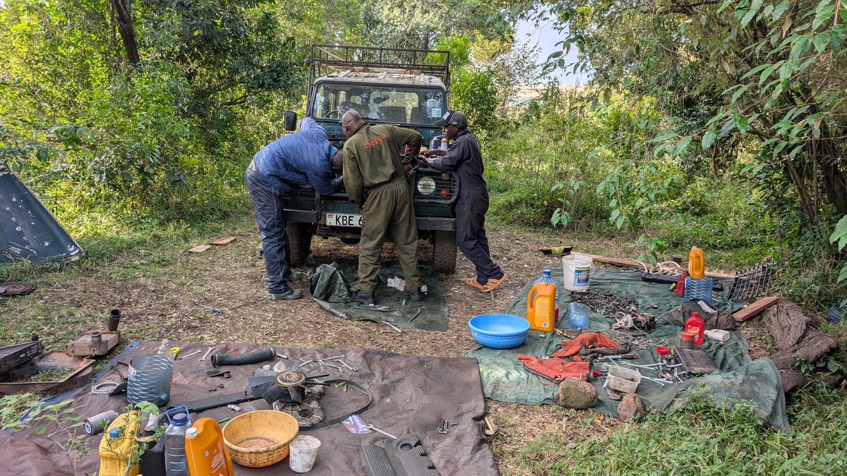 A proper jua kali engine rebuild in the bush. Field research is 80% field vehicle repairs, 20% data collection. 👍💪