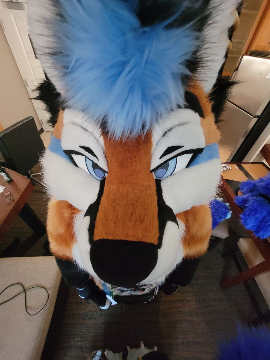 FoxNamedAri's tweet image. Last day of AC