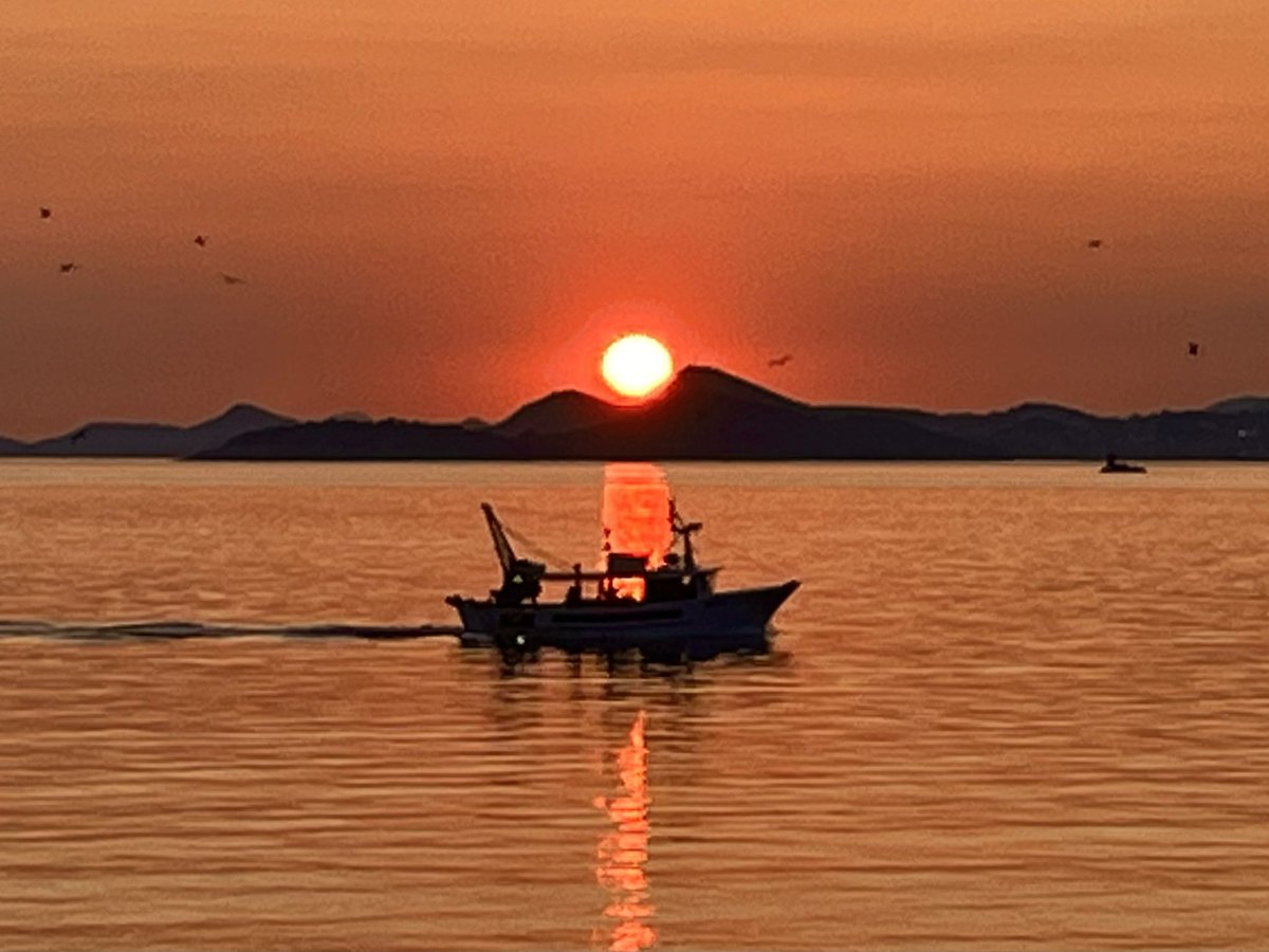 Lisa Singleton tweet media