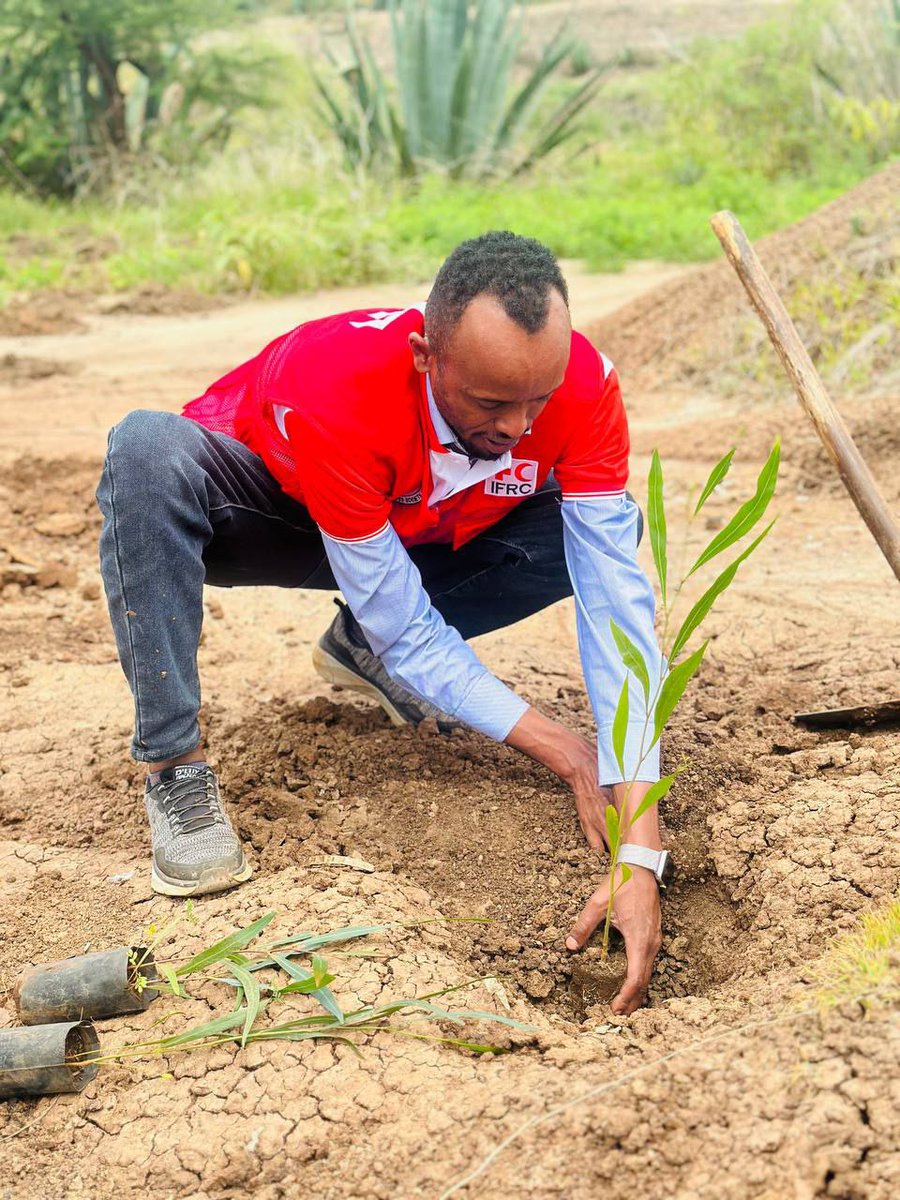 EthioRedCross's tweet image. በደቡብ ኢትዮጵያ ክልል የኢትዮጵያ ቀይመስቀል ማህበር 90ኛ ዓመት ክብረ በዓል ክልላዊ ማጠቃለያ ፕሮግራም በእግር ጉዞ እና በችግኝ ተከላ ተከብሯል።
The 90th anniversary of ERCS Southern Ethiopian Regional Office was celebrated with a regional summary progm.