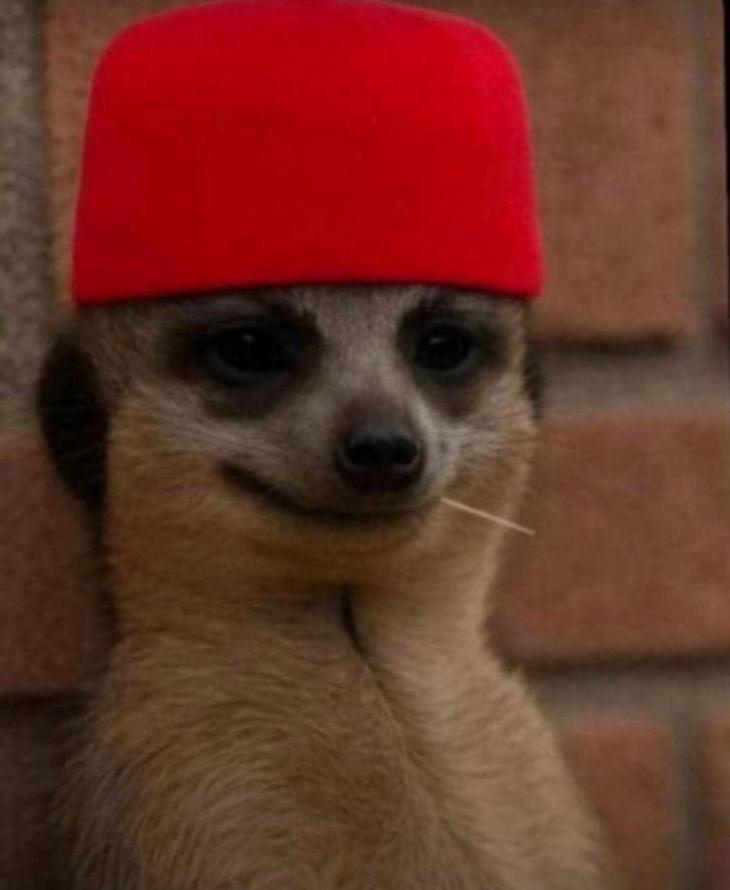 Ur native pope watching you kill the ram 🐑 knowing fully well that you won't see shi shi