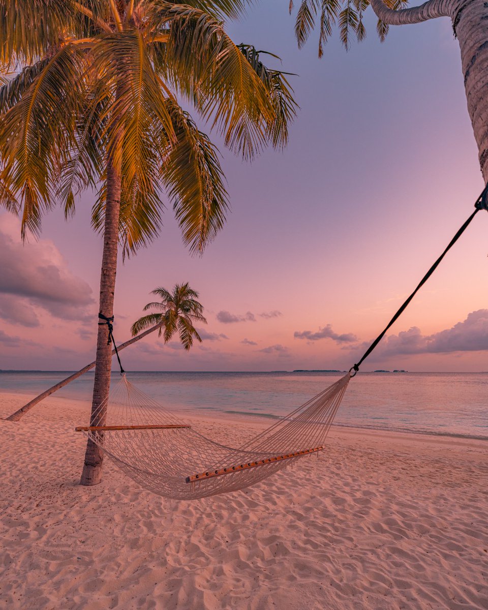 Meet me at the beach! 🏖️😎

📸 #Canon EOS R5
Lens: RF15-35mm F2.8 L IS USM