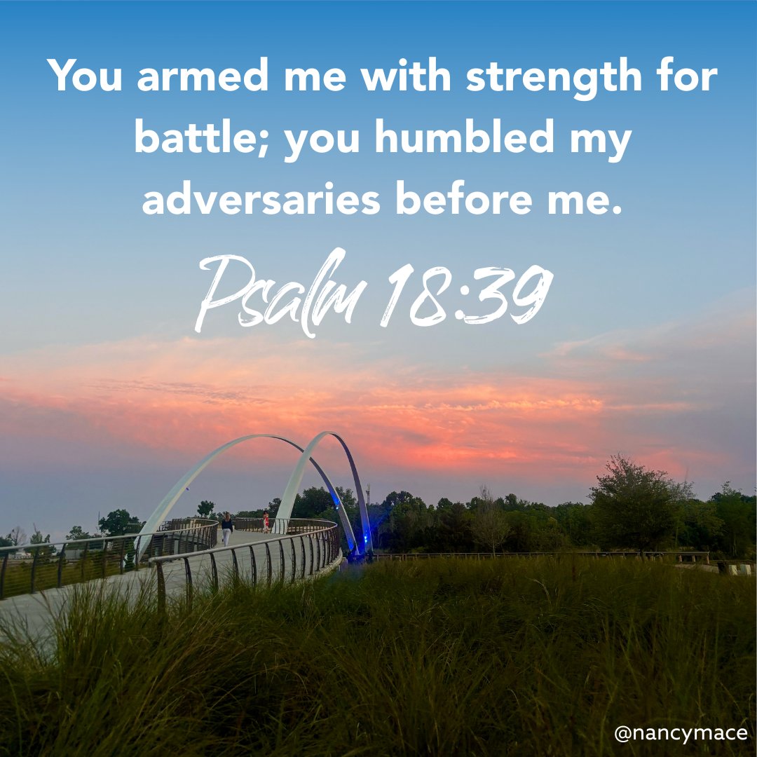 Nancy Mace (@nancymace) on Twitter photo 