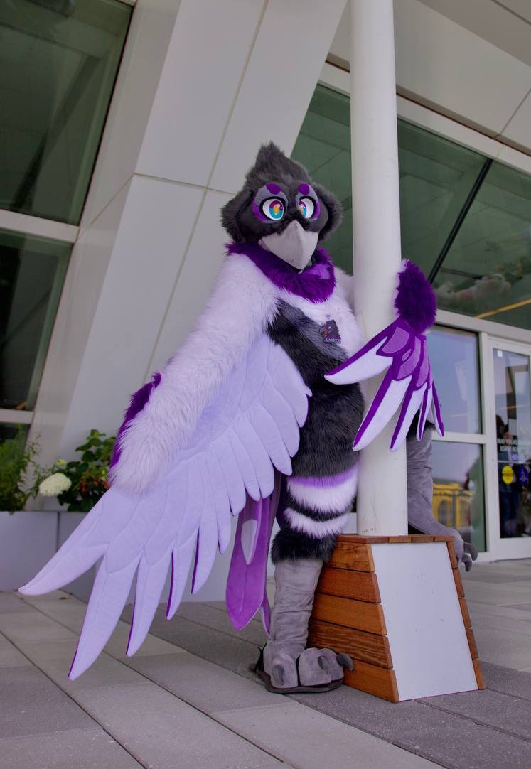 Umbra ๐ FWA (@umbramagpie) on Twitter photo Feeling more alive and happy with each passing day. Thank you all for joining me on this journey ๐
๐ธ <a href="/GildrynTheEagle/">Gildryn the Golden Eagle ๐ฆ
</a> Feeling more alive and happy with each passing day. Thank you all for joining me on this journey ๐
๐ธ <a href="/GildrynTheEagle/">Gildryn the Golden Eagle ๐ฆ
</a>