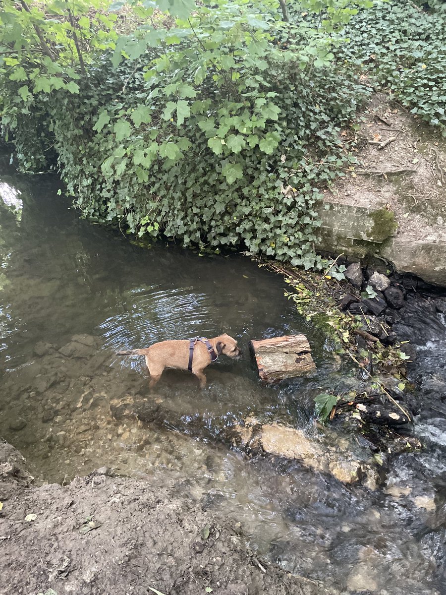 Cooling off in the river #BTPosse ❤️