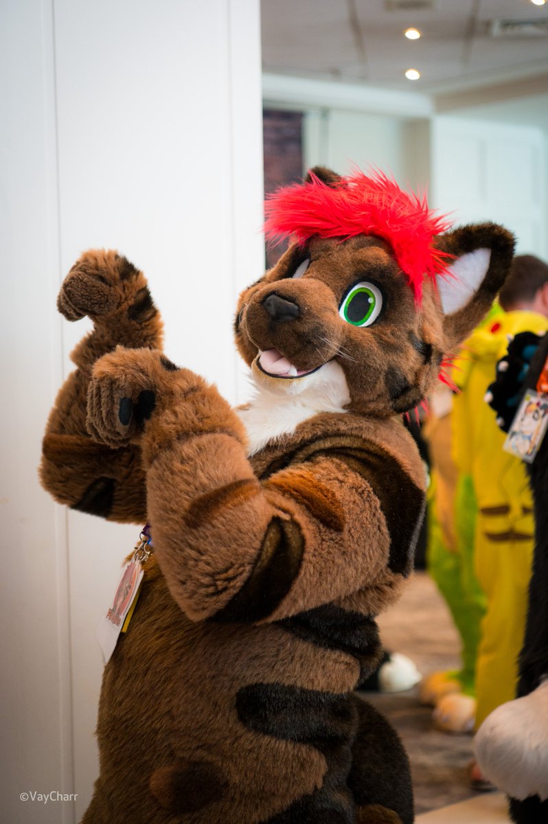 ✨ Strike a pose!
😺 <a href="/firestweet/">Firesuite</a> at #Confuzzled 2025
#cfz #cfz25 #fursuit