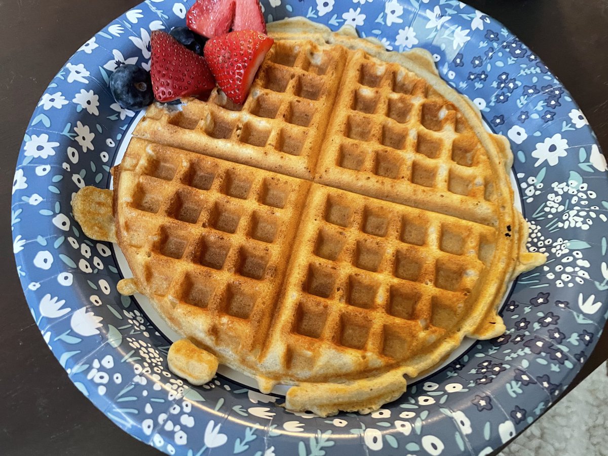 Breakfast time ! 

A protein waffle and some fruit .

Starting the day right .

How about you?