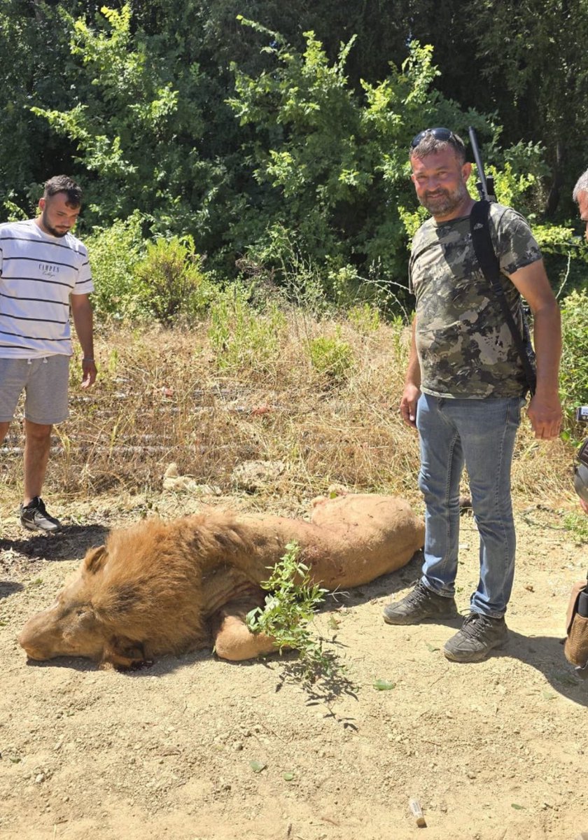 Aptal ebeveynler şımarık çocuklarına alakasız hayvanlar gösterip 1 saat gezecekler diye kendi ailesinden koparılarak dünyanın bir ucundan getirilip hapsedilen bir hayvanın ona bunları yaşatan insanlar tarafından katledilmesi… Hayvanat bahçeleri kapatılsın.
