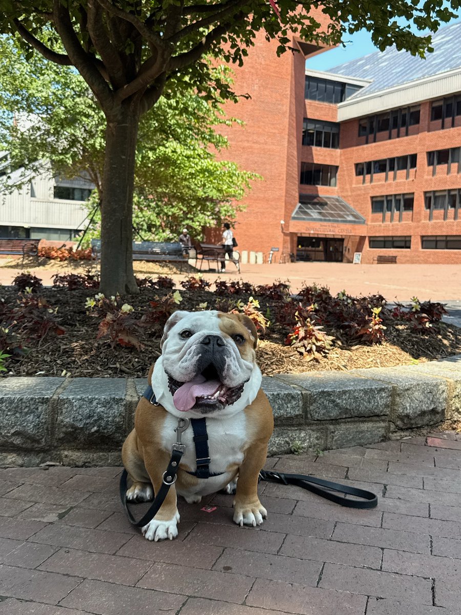 Leave a 💙 if you think Jack's a good boy! 🐾
