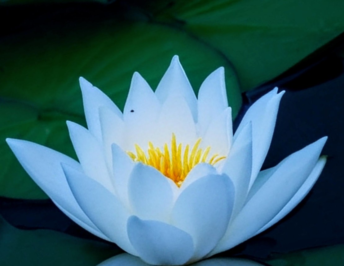 zajaczeknowe's tweet image. #Darkedition 😊