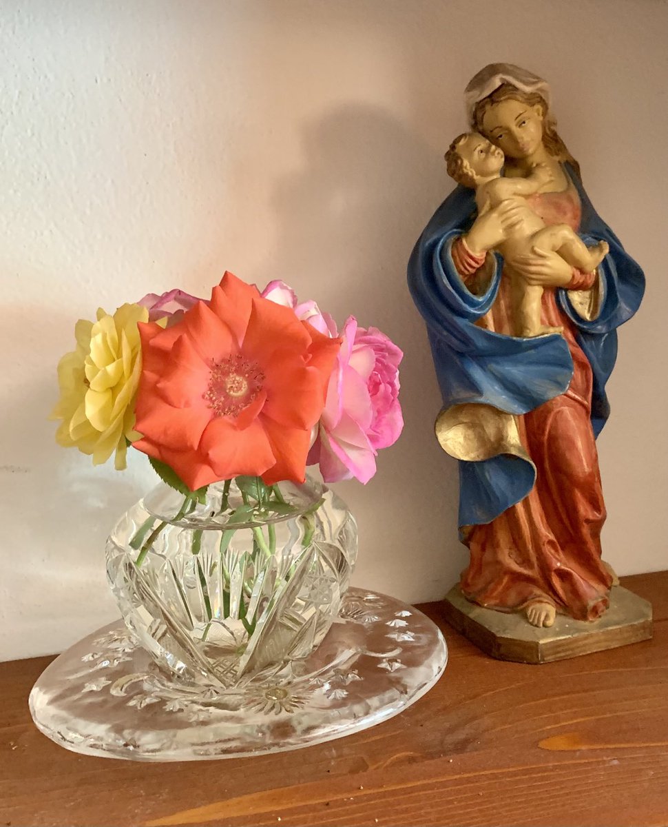 Il giardino dopo la pioggia. Piccole rose sfatte dal caldo di stamattina, ma ancora piene di colore, per Maria Santissima. Privilegi immeritati. Ringrazio. «Il Signore è il mio pastore: non manco di nulla. […] Ungi di olio il mio capo; il mio calice trabocca.» (Sal 23, 1, 5)