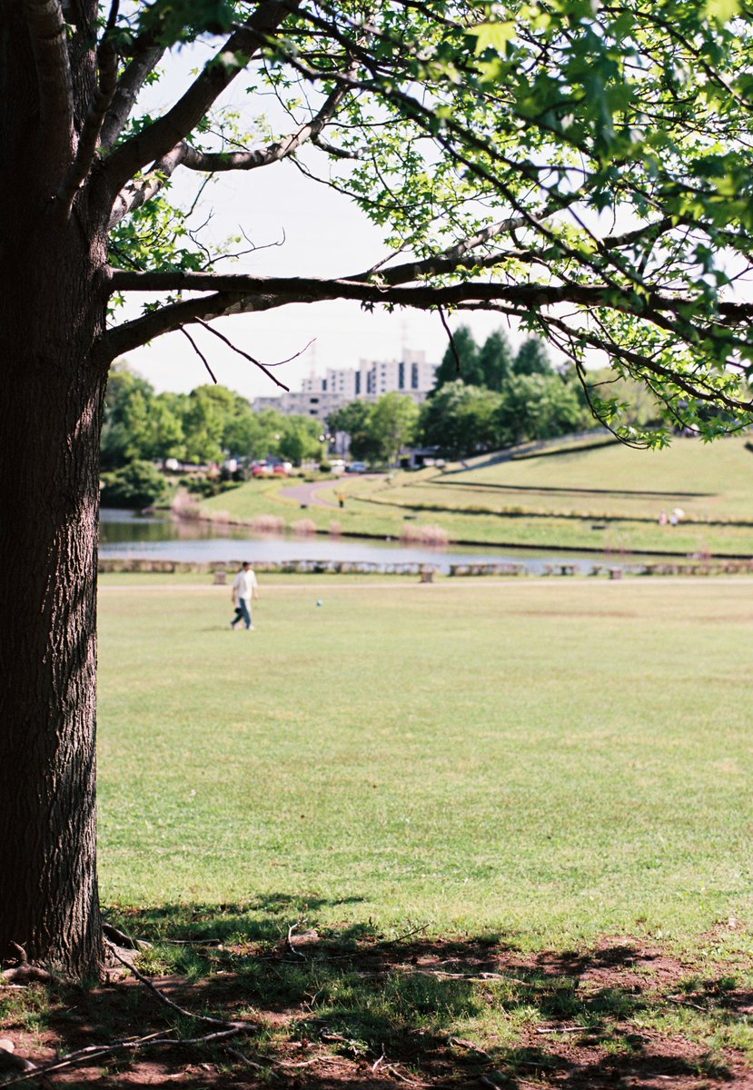 ヒトパーソン tweet media