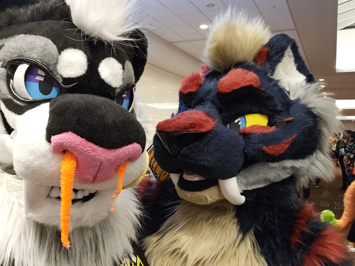 SaberToofGoof's tweet image. Got to meet @MobSaber last night! They're a pretty silly saber!
#anthrocon2025 #fursuit #sabertooth