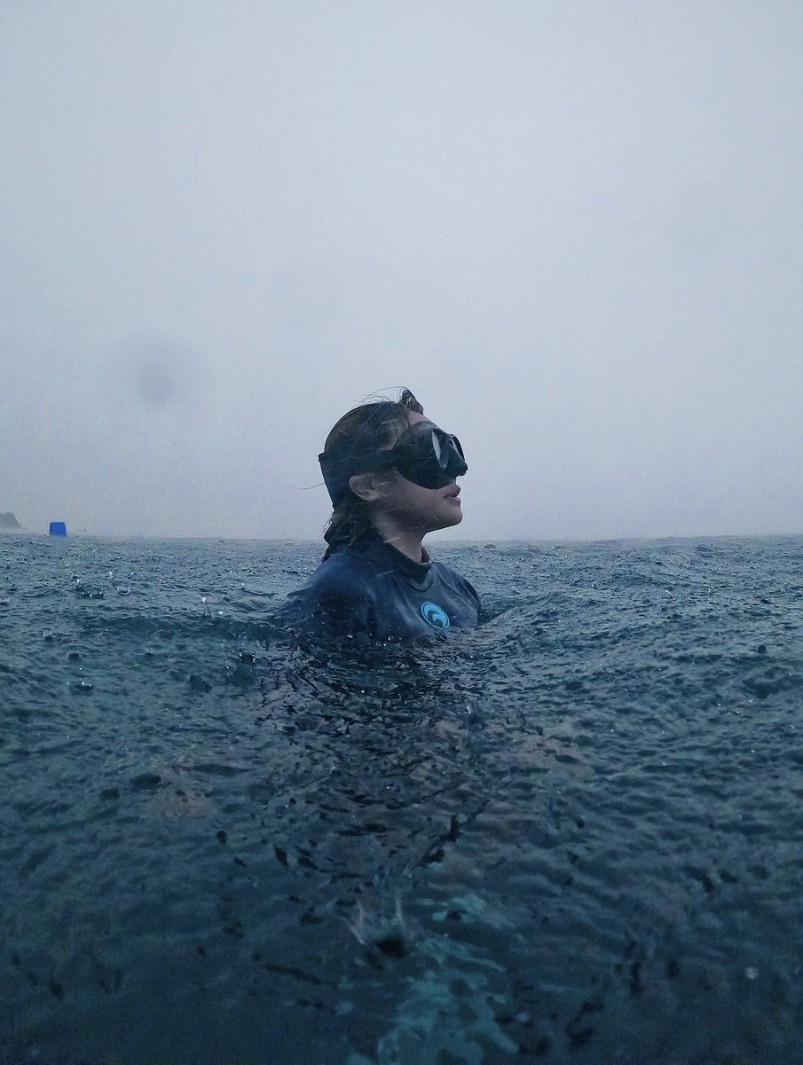 istamiming's tweet photo. There’s a serene magic in descending from the chaos above into the calm below. Down there, it felt like the world exhaled. And so did I. That’s what made me love diving in the rain.

These shots were captured mid-storm. https://t.co/2wrPz9hCAH