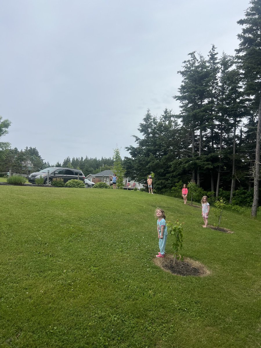 Not sure which is growing faster the trees or the granddaughters. 1 planted for each of them