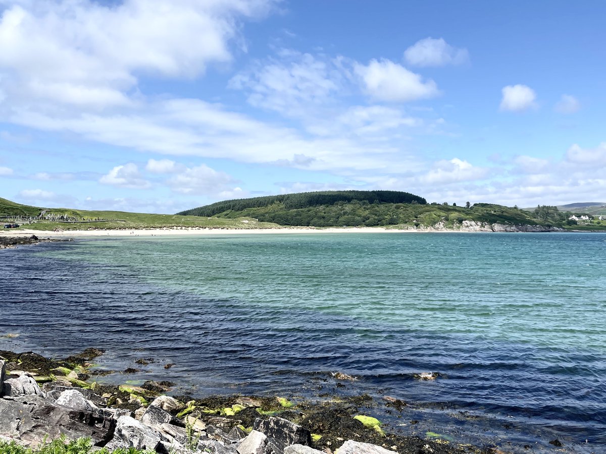 Winna Ding tweet media