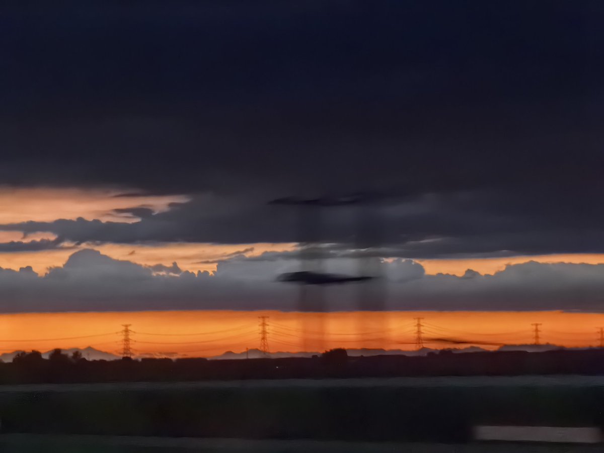 人生在于体验 tweet media