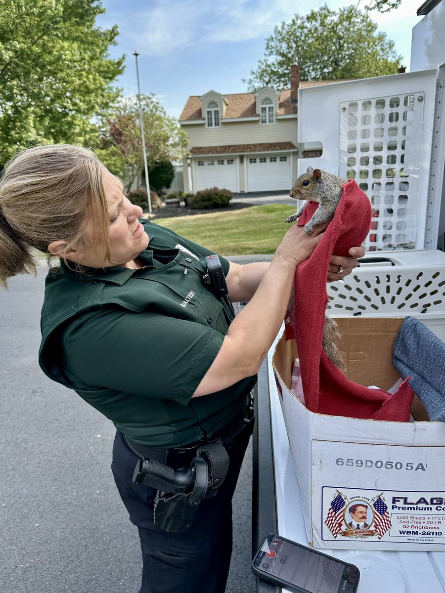 Mary Elaine Leach (@maryleachtweets) on Twitter photo I want to express my appreciation to Christine of <a href="/BillericaPD/">Billerica Police MA</a> and Billerica & Tewksbury Animal Control for helping with an injured squirrel that I found at the end of my driveway. We’re not sure if the little guy will make it, but he was perking up and now has a chance. I want to express my appreciation to Christine of <a href="/BillericaPD/">Billerica Police MA</a> and Billerica & Tewksbury Animal Control for helping with an injured squirrel that I found at the end of my driveway. We’re not sure if the little guy will make it, but he was perking up and now has a chance.