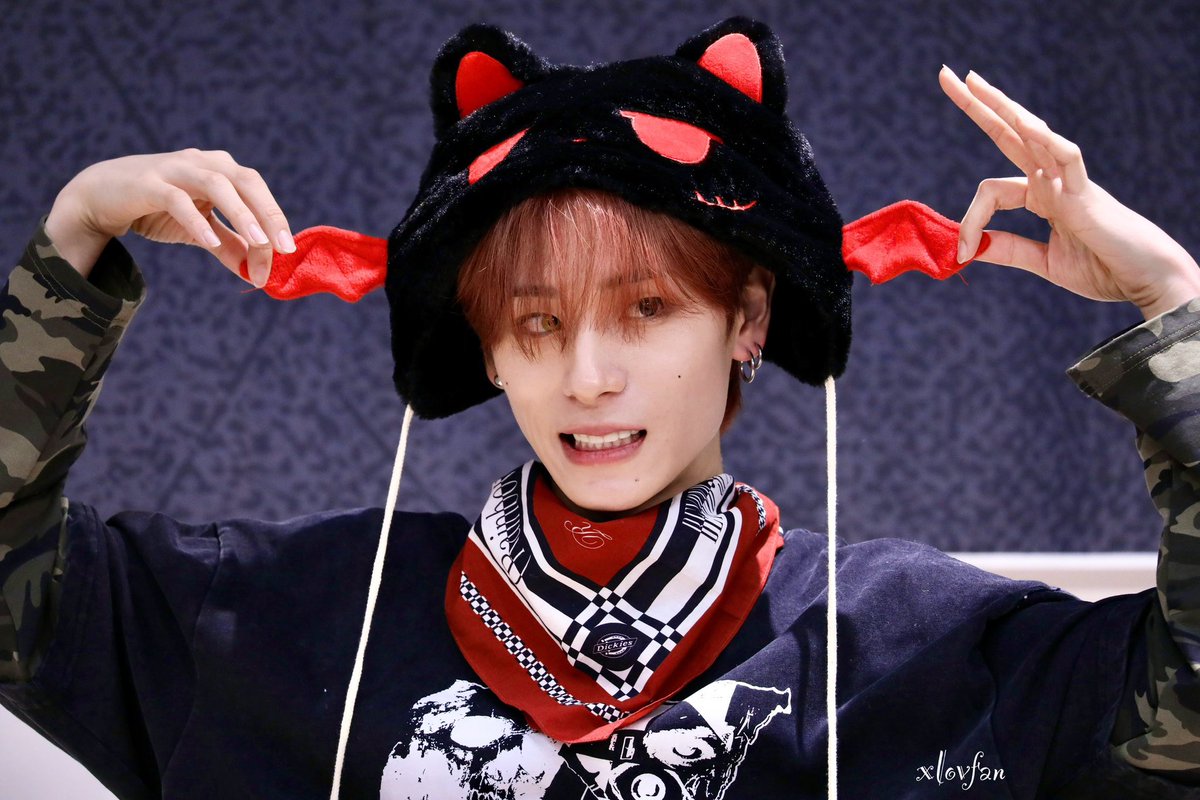 HARU - Search / X