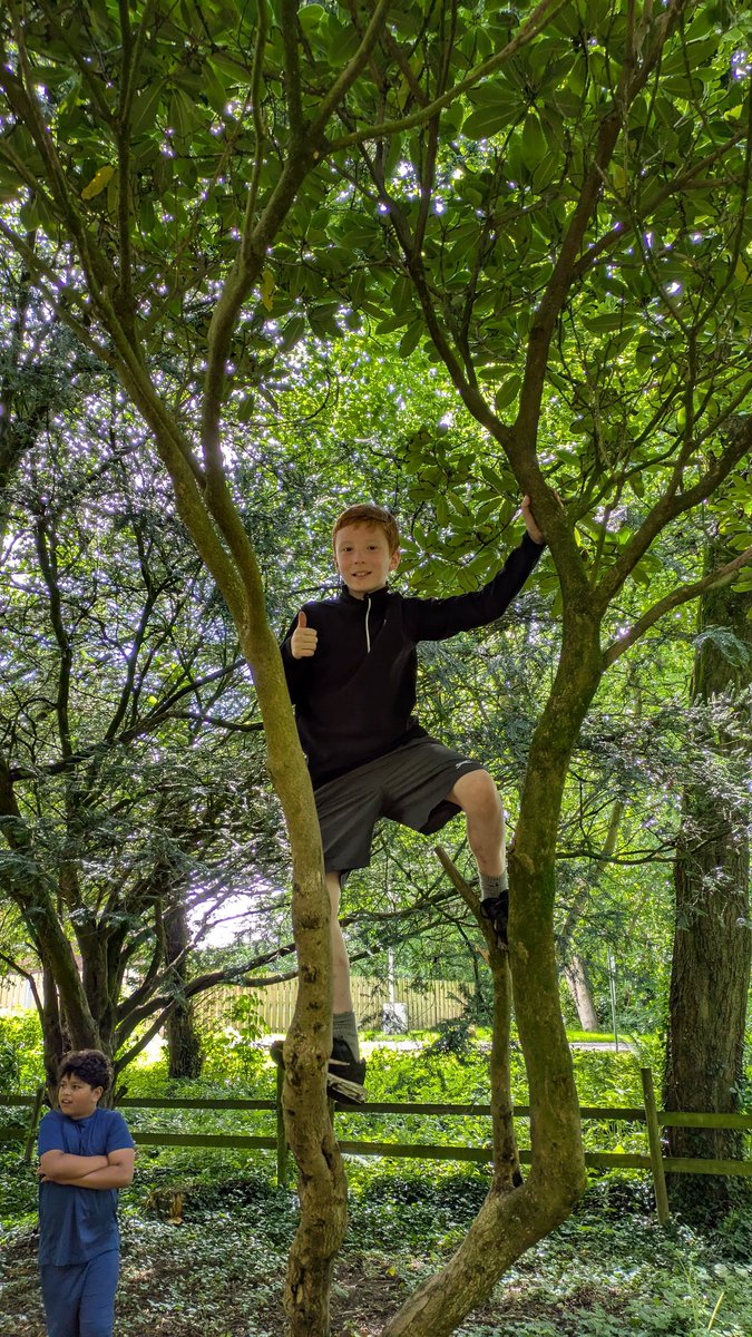 Sharples Primary (@sharplesprimary) on Twitter photo 