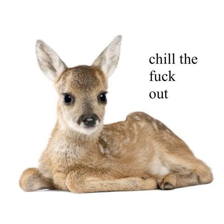 í (@neverrtoheavenn) on Twitter photo 