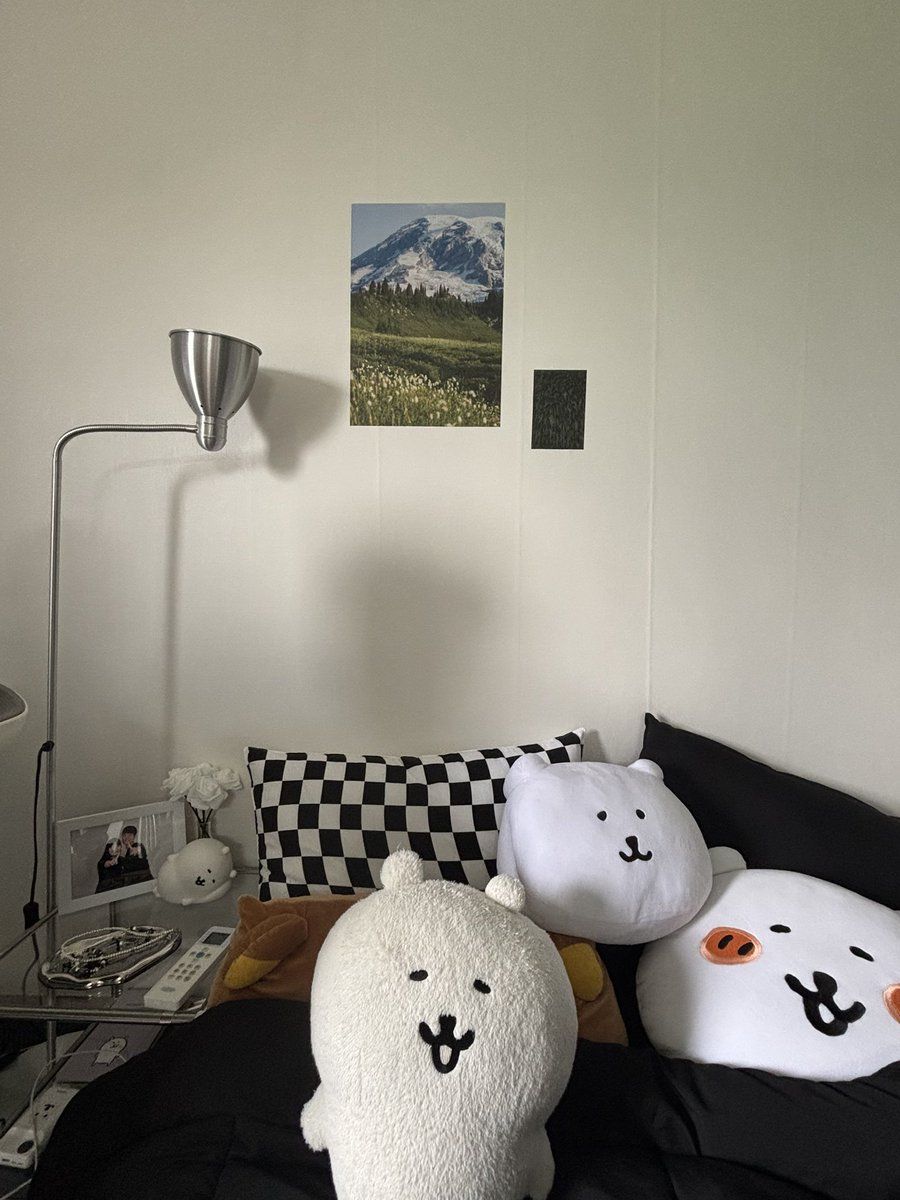 moonmanwook's tweet image. 우리집 곰테리어🐻‍❄️🌱