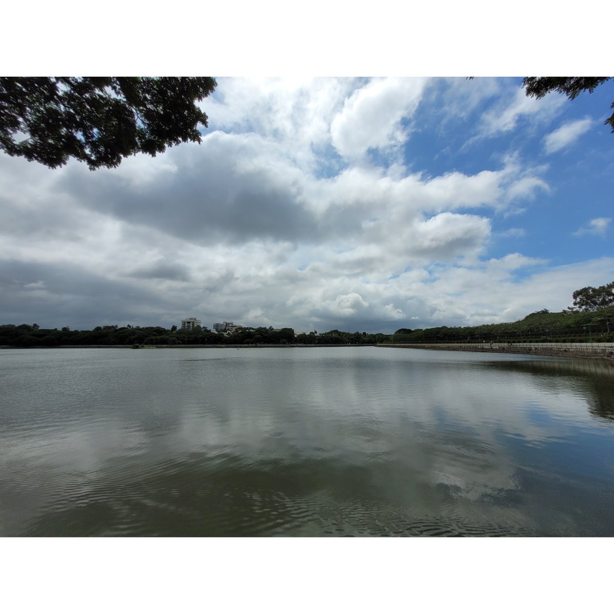 Pranav22061999's tweet image. #Malleshwaram Heritage Walk lead by Raksha Nagaraj Ma'am owner of Bengaluru Prayana. Pictures clicked from today's walk. #Bengaluru (1/5)

Check out the thread (clicked from my Samsung Galaxy S20 FE phone)