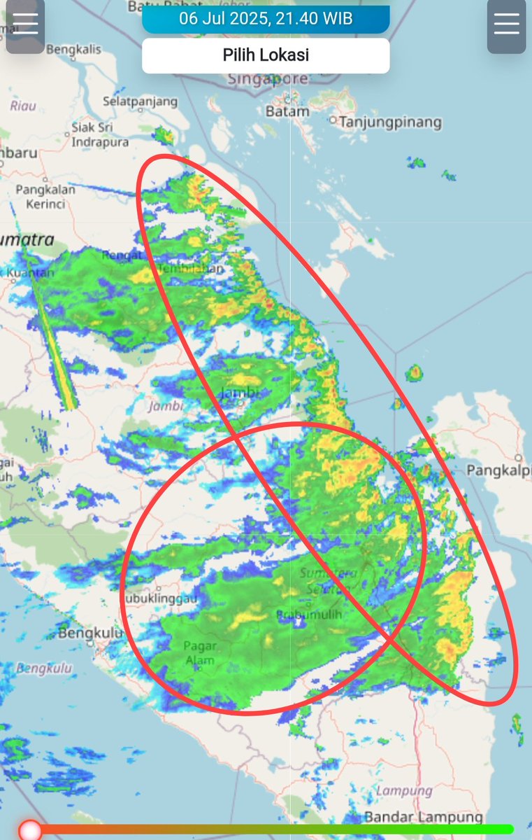 Prof. Dr. Erma Yulihastin tweet media