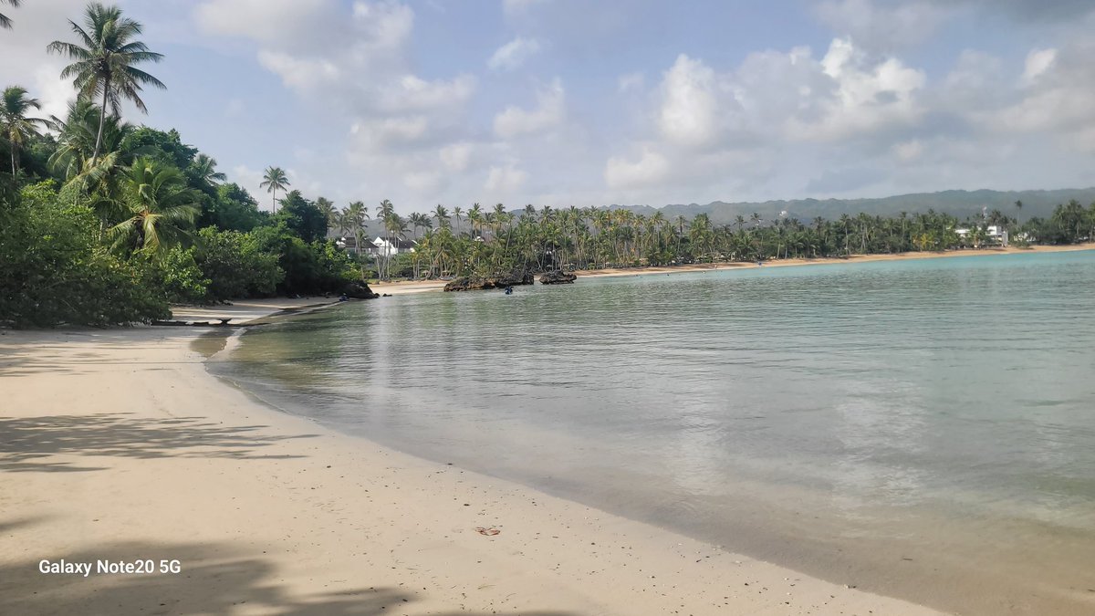 Tengo la ilusión de que las generaciones futuras de mi pueblo también  puedan disfrutar libremente de la belleza de Playa Caño El Jobo, La Bonita y demás playas de Las Terrenas. 

He visitado esta playa desde que tengo uso de razón.

Agua azul turquesa del Atlántico.