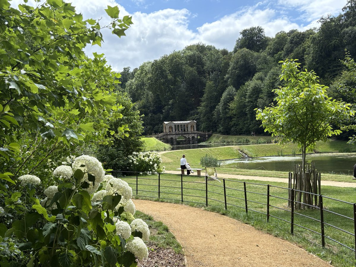 Jane Solomons tweet media