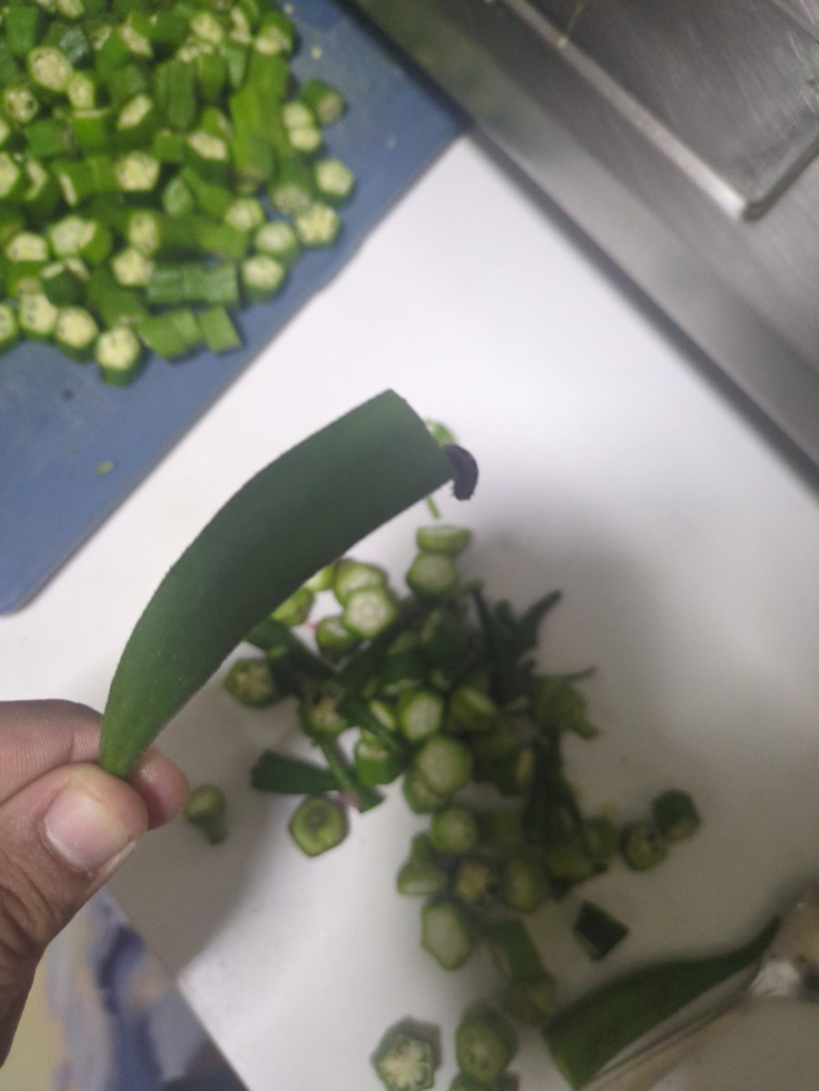 avinasha39's tweet photo. Received veggies from @Flipkartminutes on Jul 2. Used them today—ladyfinger was filled with live insects 🪲

Support offered only cheerful scripts. No complaint process. I was told to inspect &amp; use everything same day.

Is this how food safety is handled? 🤷‍♂️
@flipkartsupport https://t.co/e55eL0NlMR