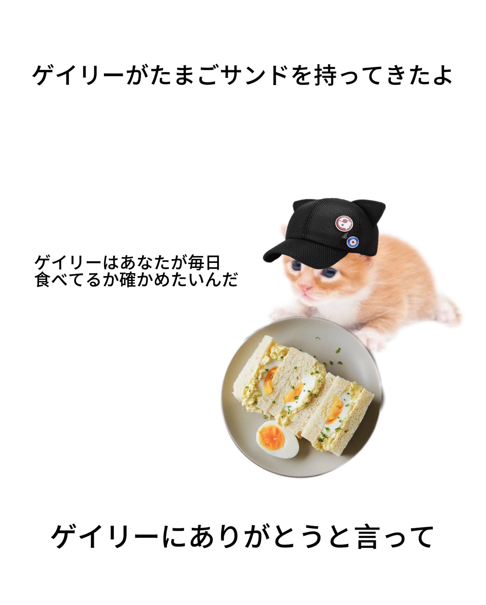 ありがとうって言えた一日が素敵 ありがとうって言えた一日が素敵