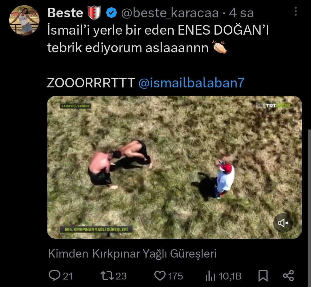 İlk önce oyuncu olurlar sonra hiçbir ajans onları kabul etmeyince survivora katılırlar. 5 sene survivorda başarı elde edemezler. Sonra survivordan da vazgeçip mimarlığa başlarlar mimarlıkta da evlerin içine ederler kimse onlara iş vermez. Sonra çıkıp İsmail Balabana laf ederler.