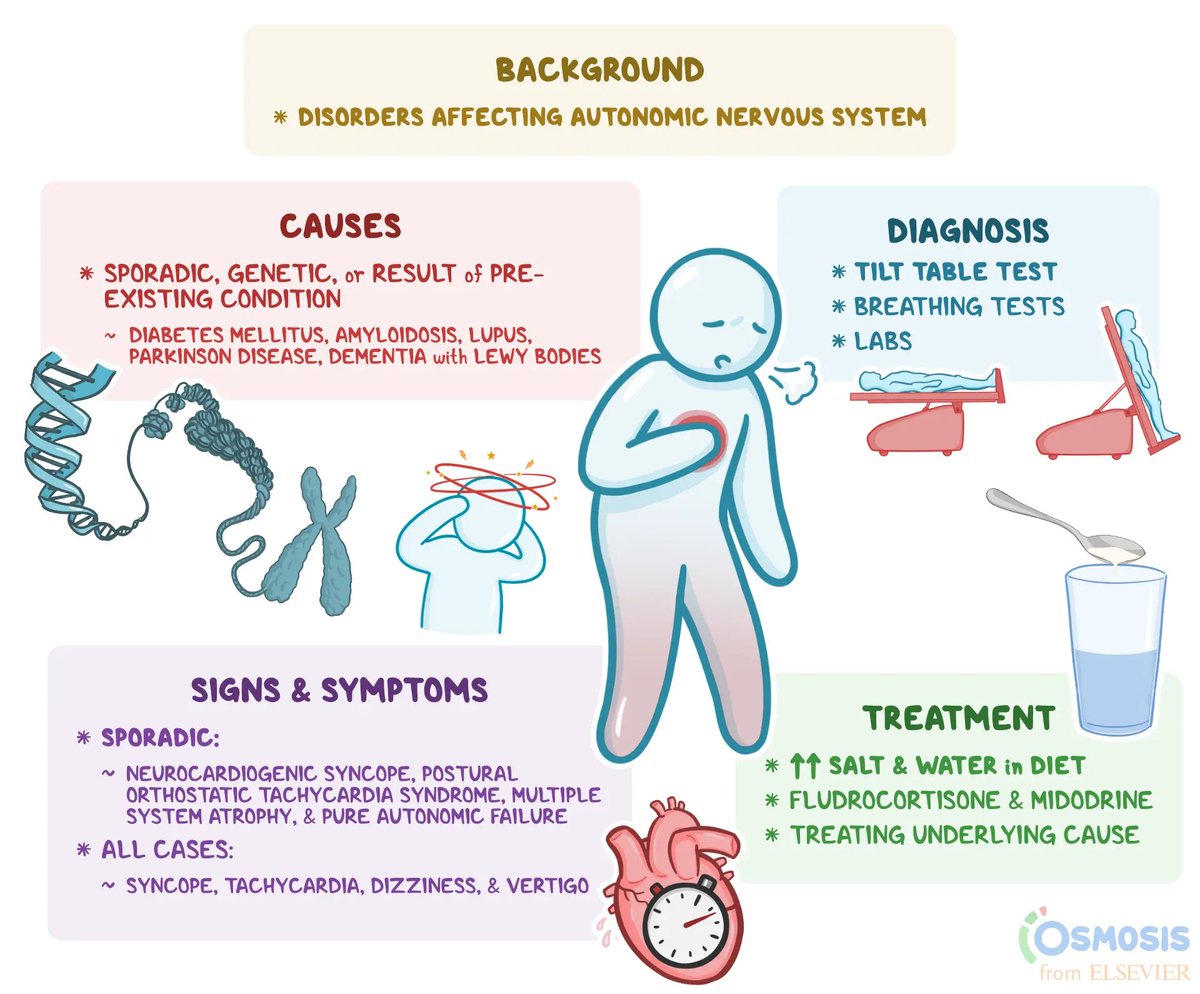 Let's talk about Postural Orthostatic Tachycardia Syndrome (POTS)! 🗒️

POTS is a disorder of the autonomic nervous system, which is the branch of the peripheral nervous system that controls your bodily functions, organs, and all the stuff inside you that you don't consciously