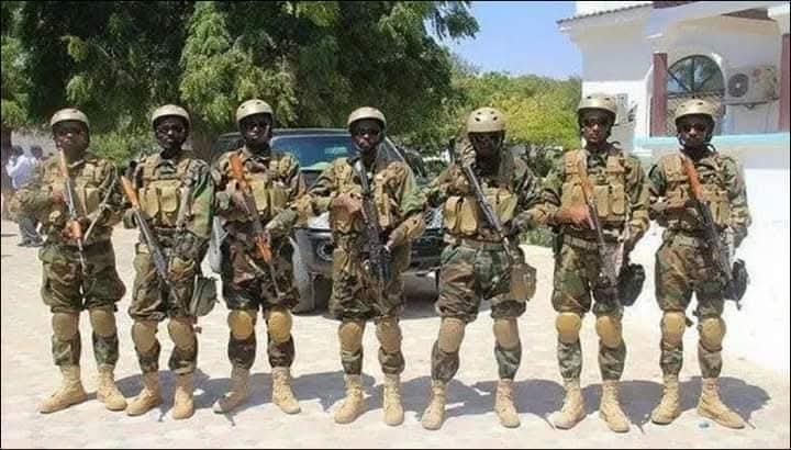 Hon. Zaheer Jhanda tweet media