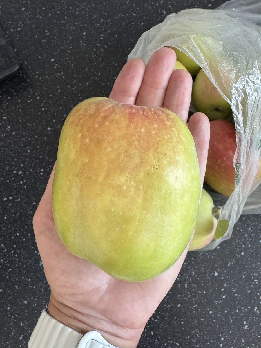 Пока гуляла с кошкой, набрала в саду чуть яблок