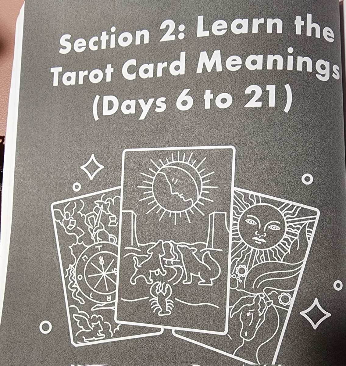MidNightSun555's tweet photo. Day 6: How to Learn the Tarot Card Meanings.
I intuitively read oracle cards and Tarot to a certain extent. I want to commit to learning traditional meanings of Tarot as well use as guidance with channeled messages. https://t.co/o9gN0frIkr