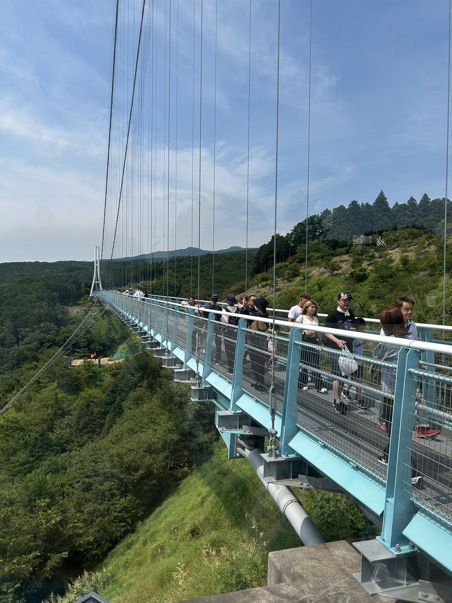 そらソフト　紫陽花
