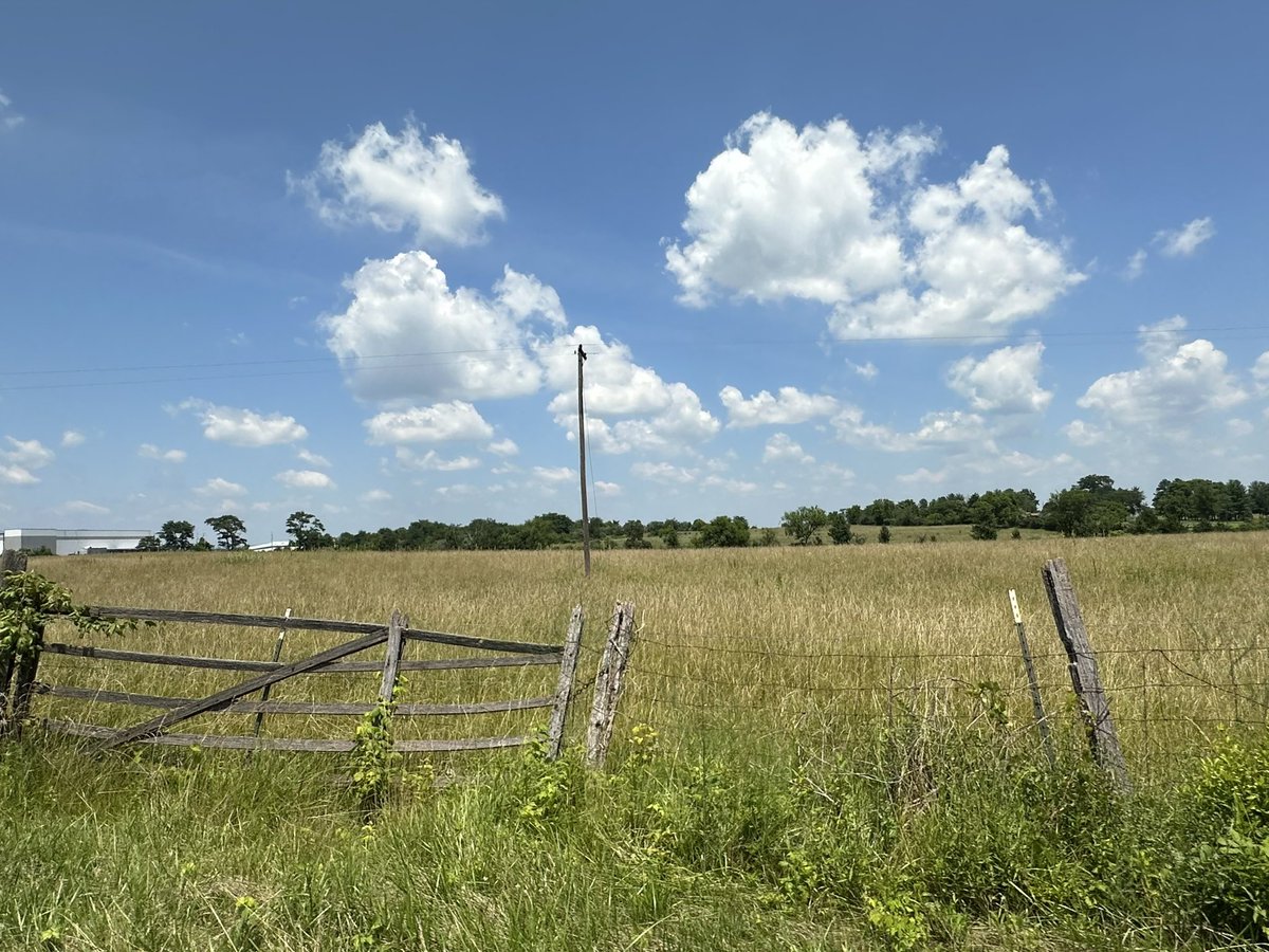 A beautiful day for a drive in Frederick County with my beautiful wife — thanks to Jordan Springs Market for the best smoked chicken out there!