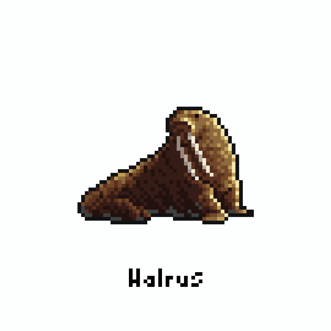 yofca13's tweet image. セイウチ / Walrus

#pixelart #illustration #ドット絵
