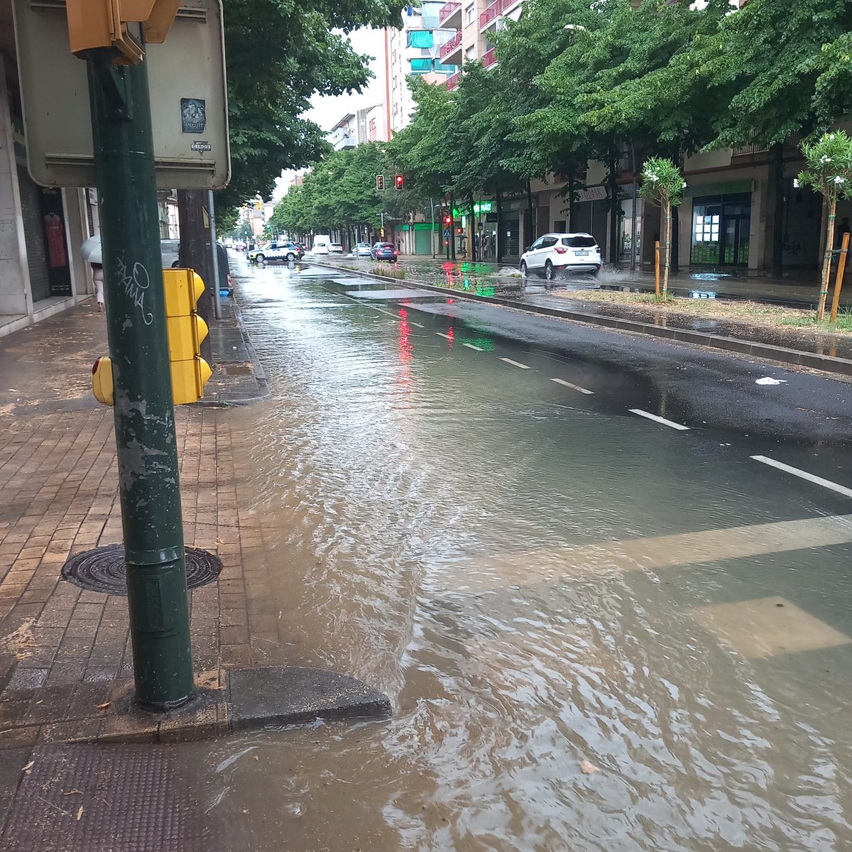 IPS-CUP Independents per Salt tweet media