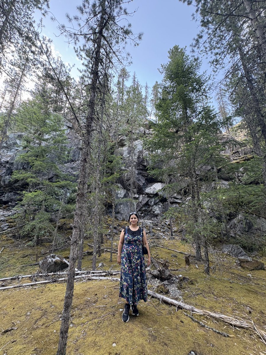 Nature Heals! 💕 
North Cascades National Park, WA