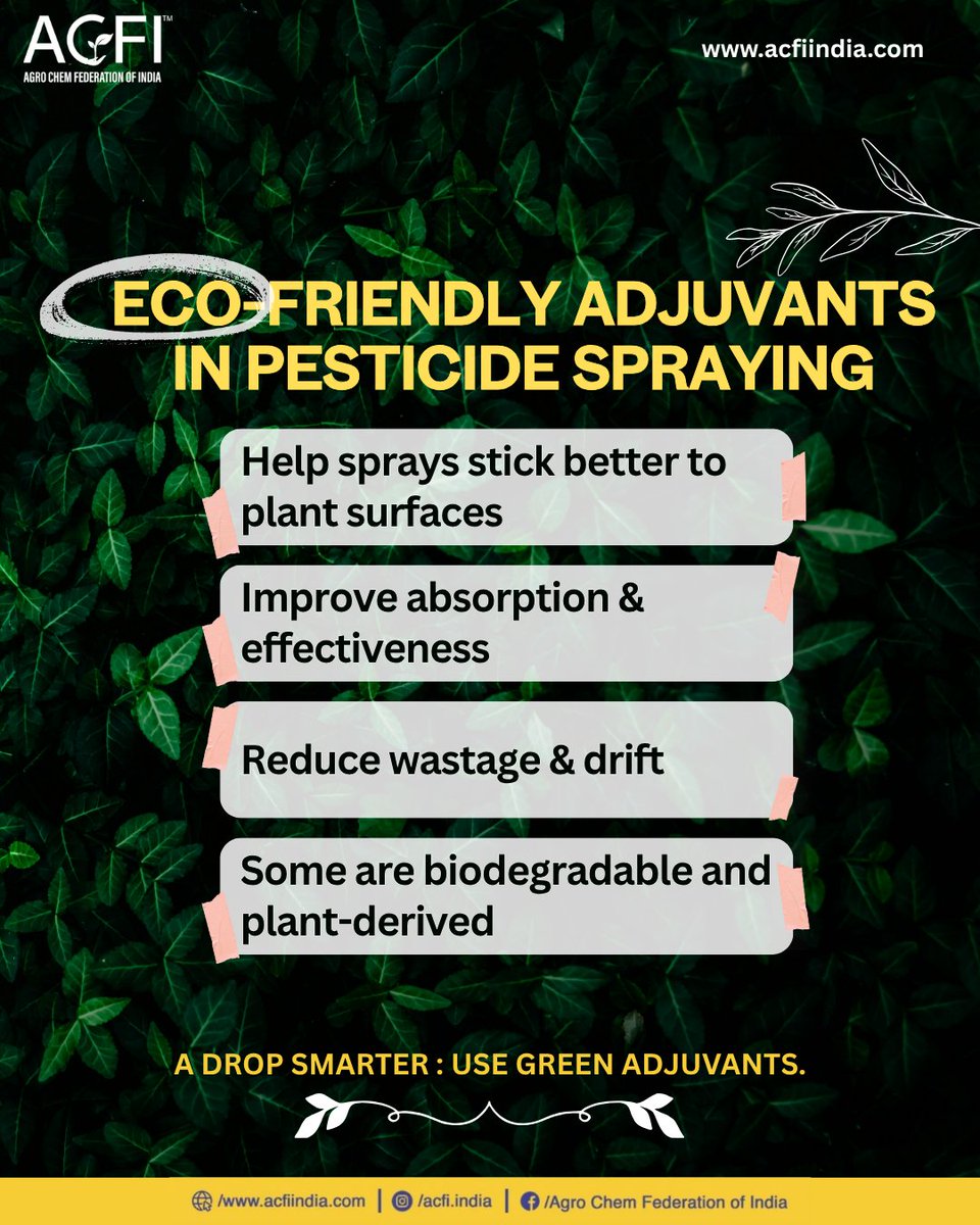 acfi_India's tweet image. Boost your crop protection the smart and sustainable way with eco-friendly adjuvants that stick better, work harder, and care for the planet. 

#EcoFriendlyFarming #SmartSpraying #SustainableAgriculture #AgriInnovation #FarmSmart #acfiindia #ACFI #AgroChemFederation