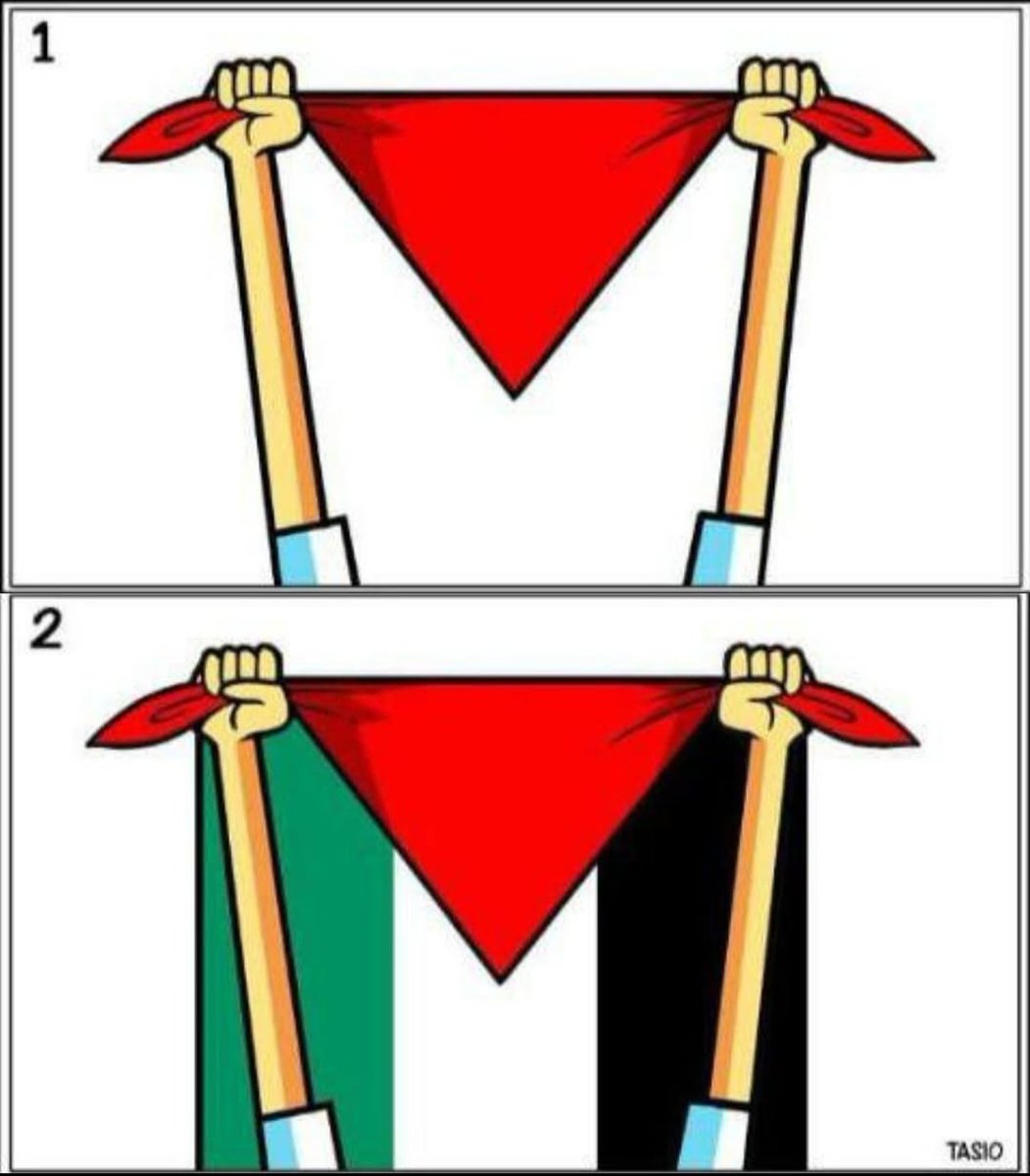 QUE EL MUNDO MIRE A PALESTINA. QUE LA FIESTA TAMBIÉN SEA DENUNCIA. FREE PALESTINE! 🇵🇸🍉