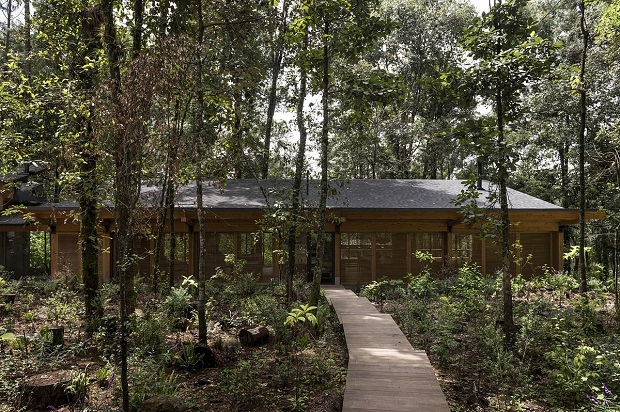 sdetails's tweet image. Aujourd'hui, Détails d'#architecture va au #Mexique, à la découverte de la #maison dans la forêt, un havre de paix nommé San Simón et réalisé par Vasconcelos Arquitectura: #teamarchi
tinyurl.com/34j6cj3j